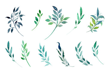 Watercolor twigs on a white background. Blue, turquoise, green branches with leaves. Stylized plants. Set of watercolor plants. Eleven different branches.