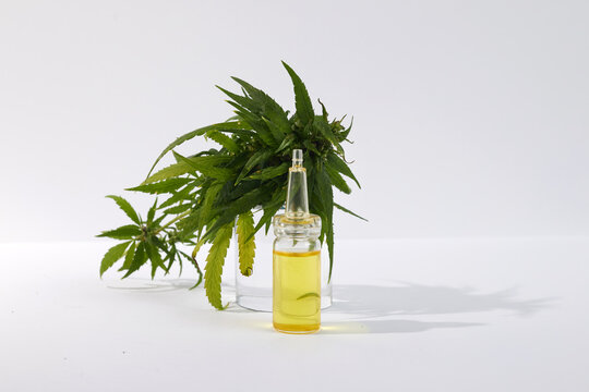 Cbd htc canabbis oil in laboratory. Concept of medicine.