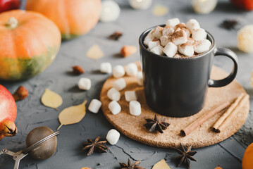Hot chocolate with mini marshmallows served in a black mug with cocoa powder, cinnamon sticks, star anise, pumpkins and yellow leaves on concrete background. Autumn inspired dessert