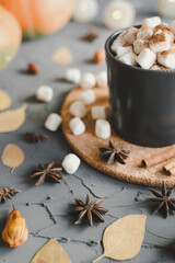 Black mug with hot chocolate with melted marshmallow served on a cork coaster with star anise, cinnamon sticks and yellow leaves. Autumn season inspiration