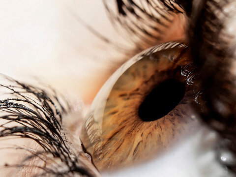 OJO MACRO PESTA&Ntilde;AS MIRADA 