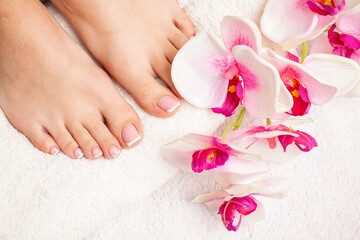 Relaxing french pedicure with a orchid flower