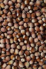 Whole hazelnuts. Photo wallpaper. Walnut background. Top viev