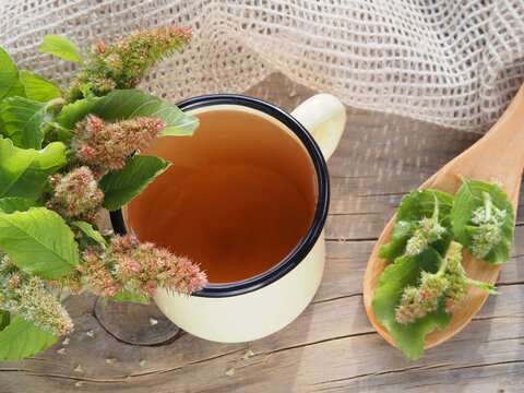 A bunch of the medicinal herb amaranthus retroflexus and a drink in an enameled mug on a wooden stand closeup, top view. Useful green amaranth plant for nutrition, use in medicine and cosmetology
