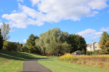 Autumn landscapes with trees and open areas.