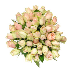 Top view of festive bouquet of green and pink roses isolated on white background. Congratulatory...