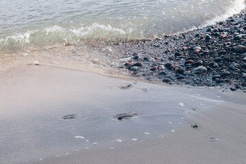 footprints on the beach
