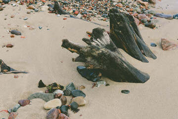 trunk on the beach