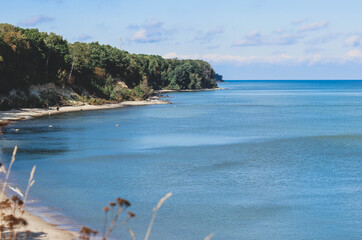 beach with trees