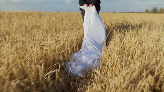 Follow shot rear view of unrecognizable murderer dragging bag with dead body through wheat field