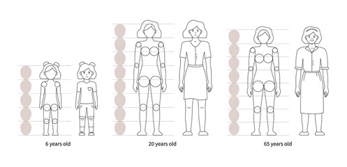 Tutorial for drawing proportions and human anatomy of different ages. Instructions for artists. How to draw a woman, a girl, an old. Outline vector illustration of a front view of a female silhouette