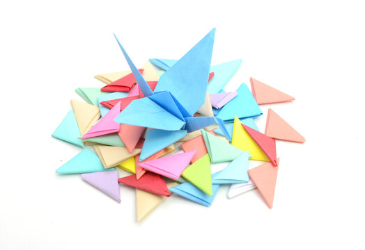 Decorated origami bird with nest concepts