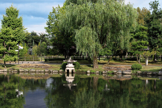 253 件の最適な 枝垂れ柳 画像 ストック写真 ベクター Adobe Stock