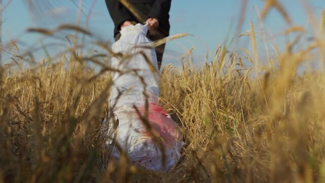 Tilt up back view follow shot of anonymous killer dragging dead body in bloody white bag through wheat field, spooky Halloween concept