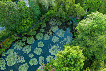 Bassin des nymphéas de Claude Monet à Giverny (Normandie, France)