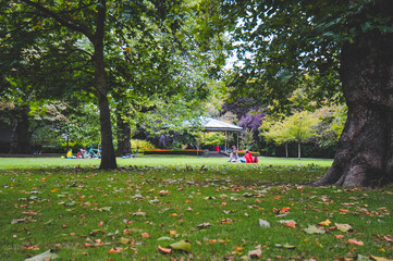 Autumn colors in the park