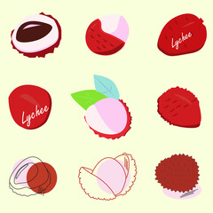 Set of lychee fruit vector designed for various banners and websites,menus.