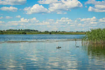 A Lake with green Islands and blue Sky with Clouds.