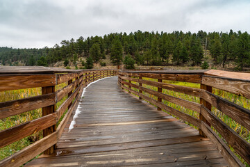 Fototapeta premium long wood walkway