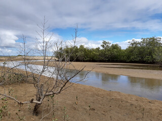 Spring time in northeast Brazil 