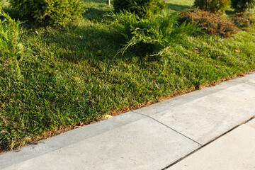 Concrete curb between lawn and sidewalk.