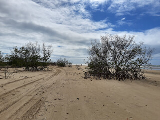 Spring time in northeast Brazil 