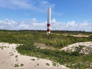 Spring time in northeast Brazil 