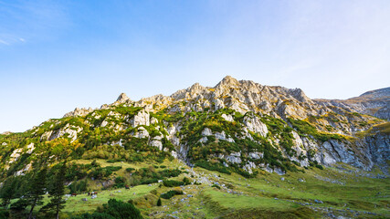 Fototapeta na wymiar Felswand in den rumänischen Karpaten