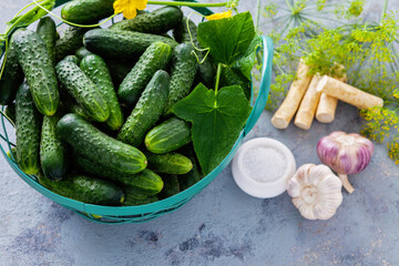 cucumbers with horseradish dill and garlic