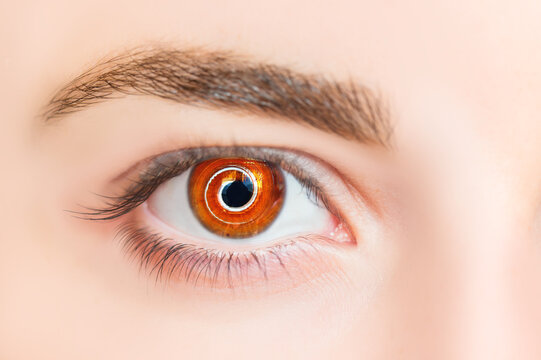 Fototapeta Hypnosis Spiral in eye with vertigo   -  Image of abstract spiral hazel eye 