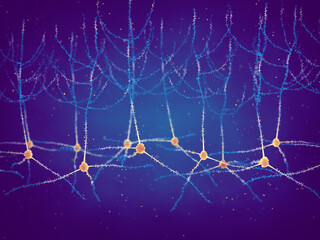 Pyramidal neurons, also known as pyramidal cells, are found in the cerebral cortex, hippocampus and the amygdala, Synaptic plasticity is the ability of neurons to change its function - obrazy, fototapety, plakaty