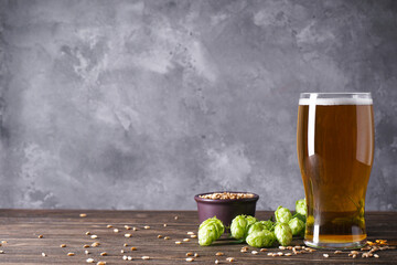 Hops and glass of light beer on gray background, space for text