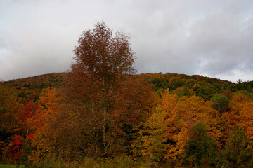 Fall in Vermont