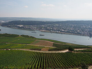 Rüdesheim am Rhein - Bingen – Rhein