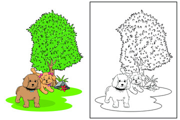 poodle dog in the garden coloring page vector