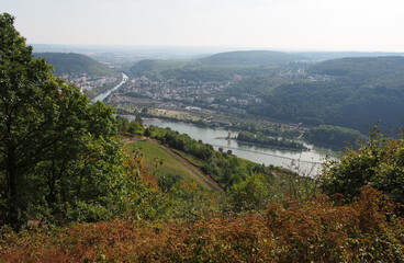 Fototapeta na wymiar Rüdesheim am Rhein - Bingen – Rhein