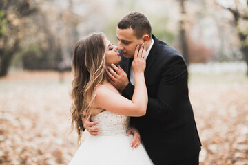 Romantic, fairytale, happy newlywed couple hugging and kissing in a park, trees in background