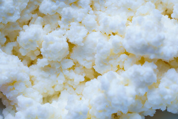 Close-up of cheese curd in a plate ready to eat