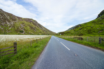 rural route in england meadows