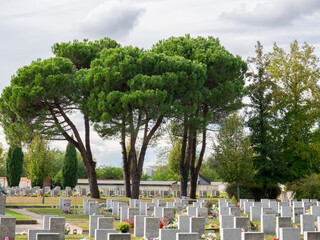 many identical memorial stone tombstone placed in row at cemetery