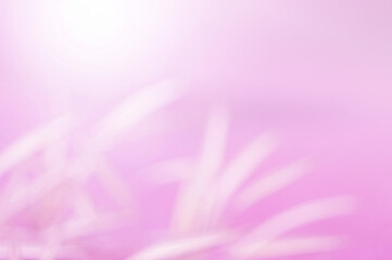 Pink Leaf background. Blurred leaves and circular bokeh. Abstract for design and wallpaper.