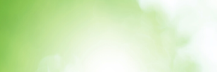 Green Leaf background. Blurred leaves and circular bokeh. Abstract for design and wallpaper.