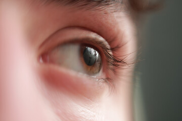 fototografía macro de ojo color marrón