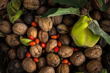 Autumn harvest - walnuts, rose hips and quinces. Closeup . Autumn composition.