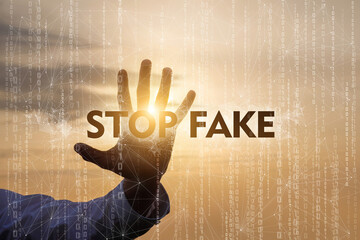 Stop fake information in the Internet .
