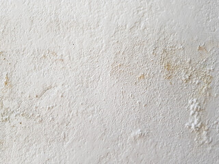 Soft white cement wall for the background.
