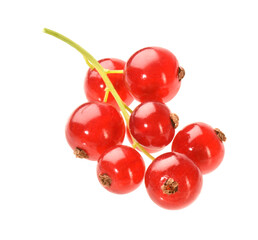 Rote Johannisbeeren