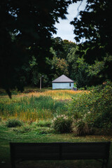 Seasonal changes in the park 