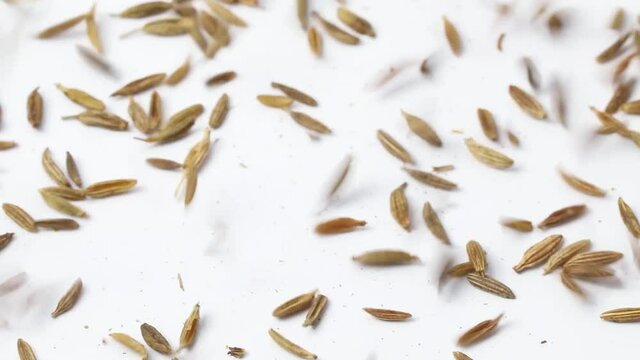 Falling dried cumin seeds from close up to full frame