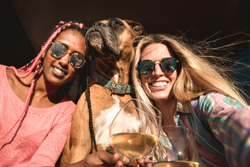 Young multiracial women friends having fun with their dog taking a selfie and drinking wine - Focus...